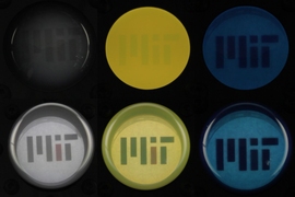 Three colors of PDMS — a widely used rubbery, transparent polymer — are inflated like a balloon as light from a light box shines from below. The top row shows the PDMS material before being inflated. The bottom row shows the PDMS inflated, revealing the MIT logo placed underneath the PDMS.