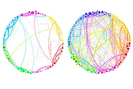 This diagram demonstrates the simplified results that can be obtained by using quantum analysis on enormous, complex sets of data. Shown here are the connections between different regions of the brain in a control subject (left) and a subject under the influence of the psychedelic compound psilocybin (right). This demonstrates a dramatic increase in connectivity, which explains some of the drug’...