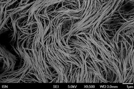 This scanning electron microscopy image shows single walled carbon nanotubes, the starting material used by the researchers.