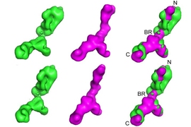 These images produced by X-ray scattering analysis show the normal tropoelestin molecule (in green), the genetically modified version created by the researchers (in magenta), and a combined view to emphasize the areas where the two versions differ. The team found that the modified version was significantly weaker than the natural version, and used this analysis to help understand the way these mol...
