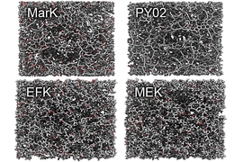 Images produced by the researchers show the molecular structure of different samples of kerogen and reveal the significant structural differences between "mature" kerogens, at top, and "immature" kerogens, at bottom.
