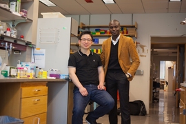 The research was led by MIT postdoc Won-ki Cho (left) and assistant professor of physics Ibrahim Cissé.