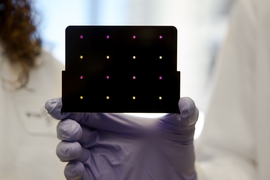 A black cartridge containing a paper-based diagnostic for detecting the Zika virus is held up by a researcher at Harvard's Wyss Institute. Areas that have turned purple indicate samples infected with Zika, while yellow areas indicate samples that are free of the virus.  