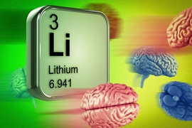 “How lithium acts on the brain has been this great mystery of psychopharmacology,” says Joshua Meisel, an MIT postdoc and lead author of a new study. “There are hypotheses, but nothing’s been proven.”
