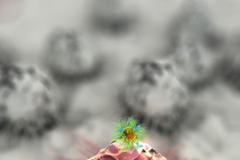Researchers at MIT are developing an adhesive patch that can stick to a tumor site, either before or after surgery. The patch delivers a triple-combination of drug, gene, and photo (light-based) therapy via specially designed nanospheres and nanorods, shown here attacking a tumor cell.