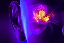 Researchers have developed a new way of imaging the middle ear using infrared light, which they say could provide much more accurate diagnosis of ear infections.
