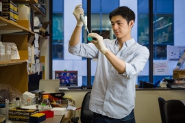 “I love to work on new ideas and develop new kinds of tools to tackle basic questions,” says PhD student Tim Wang.
