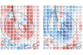 Molecular fMRI data showing signal changes from serotonin sensors in the absence (left) and presence (right) of the antidepressant Prozac, with each square denoting an individual brain voxel. Red squares indicate the signal has increased, as more serotonin is absorbed into neurons; blue squares indicate the signal has decreased, as less serotonin is absorbed into neurons. Dotted and solid lines gr...