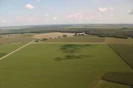Summit Farms, an 650-acre parcel in Moyock Township, North Carolina, where the new solar installation will be built, as it appeared before the beginning of construction.