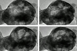 These images, taken from a transmission electron microscope, show a perovskite material oscillating as it is exposed to water vapor and a beam of electrons.
