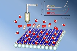 New research shows that when metal oxide (flat array of atoms at bottom) is used as a catalyst for splitting water molecules, some of the oxygen produced comes out of the metal oxide itself, not just from the surrounding water. This was proved by first using water with a heavier isotope of oxygen (oxygen 18, shown in white), and later switching to ordinary water (made with oxygen 16, shown in red)...