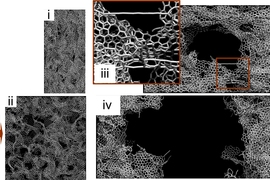 Researchers Design One Of The Strongest, Lightest Materials Known | MIT ...