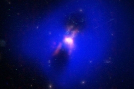This composite image shows powerful radio jets from the supermassive black hole at the center of a galaxy in the Phoenix Cluster inflating huge "bubbles" in the hot, ionized gas surrounding the galaxy. The cavities inside the blue region were imaged by NASA's Chandra X-ray observatory. Hugging the outside of these bubbles, ALMA discovered an unexpected trove of cold gas, the fuel for star formatio...