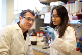 Research scientist Bogdan Fedeles and postdoc Supawadee Chawanthayatham have discovered a mutational signature that reveals liver cell exposure to aflatoxin, a potent carcinogen.
