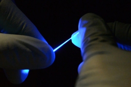 Researchers have developed a rubber-like fiber, shown here, that can flex and stretch while simultaneously delivering both optical impulses, for optoelectronic stimulation, and electrical connections, for stimulation and monitoring. 
