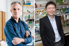 MIT professors James Collins (left) and Feng Zhang are co-authors of a new paper reporting that an RNA-targeting CRISPR enzyme can be harnessed as a highly sensitive detector able to indicate the presence of as little as a single molecule of a target RNA or DNA.