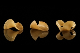These pasta shapes were caused by immersing 2D flat film into water.
