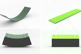 This illustration shows reversible bending behavior induced by the moisture gradient for a bilayer biohybrid fabric.
