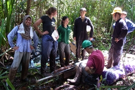 Researchers have found one of the last undisturbed tropical peat forests, in the nation of Brunei on the island of Borneo. 