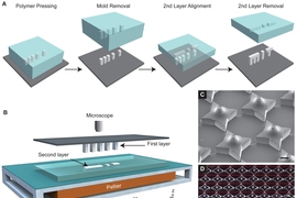 Microstructures are fabricated by pressing and heating polymer into a patterned PDMS base mold and delaminating these structures onto a substrate to create the first layer. A second layer is then formed using a similar molding process against a Teflon surface, which allows the features to remain in the PDMS mold after cooling. The second layer is aligned, placed into contact with the first layer, ...