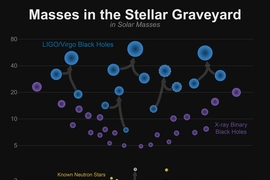 The masses of stellar remnants are measured in many different ways. This graphic shows the masses for black holes detected through electromagnetic observations (purple), black holes measured by gravitational wave observations (blue), neutron stars measured with electromagnetic observations (yellow), and the masses of GW170817 measured by gravitational wave observations (orange). The remnant of GW1...