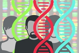 Researchers have discovered how mutations in genes required for basic cellular functions give rise to face-specific birth defects.
