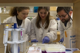 Gabriel Leventhal (right), a postdoc in the Department of Civil and Environmental Engineering, works with UROP students Sarah Weidman (left) and Lindsey McAllister (center) to analyze samples from The Herman Project, a citizen-science sourdough project. 