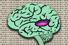 MIT neuroscientists have developed a machine-learning system that can process speech and music the same way that humans do.