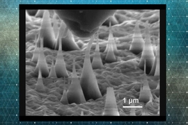 This scanning electron microscope image shows ultrafine diamond needles (cone shapes rising from bottom) being pushed on by a diamond tip (dark shape at top). These images reveal that the diamond needles can bend as much as 9 percent and still return to their original shape.