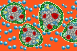 Illustration showing pancreatic islets and oxygen molecules.
