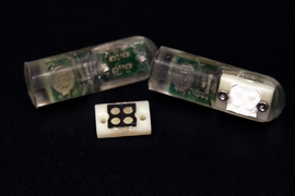 Bacteria engineered to detect specific molecules are placed in four wells on the custom-designed sensor, which is attached to a microprocessor that converts the sensory information to a wireless signal.
