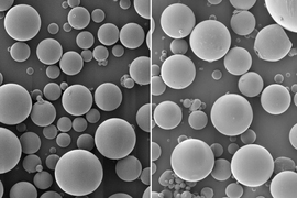 MIT researchers developed these polymer microspheres containing polio vaccine that can be released in two separate bursts.
