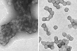 The researchers found that by adding positively charged polymers to the particles, they could prevent the clumping that would normally occur in an acidic environment. At left, polio vaccine without the charged polymers is highly clumped, while vaccine with the charged polymers, at right, does not clump.