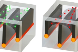 By integrating conductive wires along with microfluidic channels in long fibers, the researchers were able to demonstrate the ability to sort cells — in this case, separating living cells from dead ones, because the cells respond differently to an electric field. The live cells, shown in green, are pulled toward the outside edge of the channels, while the dead cells (red) are pulled toward the c...
