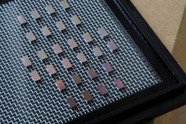 A collection of mini-spectrometer chips are arrayed on a tray after being made through conventional chip-making processes.