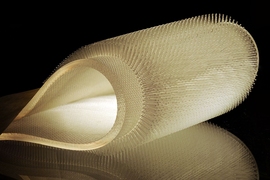 Using a "stacking" technique results in a fully focused image. This bioinspired material, emulating sea otter fur was produced in Prof. Anette Hosoi's lab in MechE.