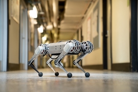 MIT’s new mini cheetah robot is springy, light on its feet, and weighs in at just 20 pounds.