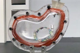 A representative prototype of a gastric resident device researchers have placed in an in vitro stomach model for testing.