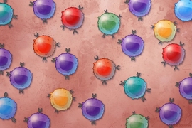 MIT researchers have developed a method to isolate T cells that bind to different targets and then sequence their RNA.
