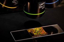 Simple chip powered by quantum dots allows standard microscopes to visualize difficult-to-image biological organisms.