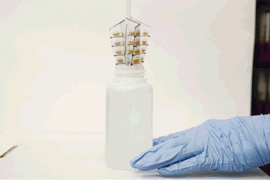 A whisk-like device developed at MIT, lined with small pockets filled with gold polymer beads, fits inside a typical sampling bottle, and can be twirled to pick up any metal contaminants in water.