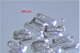 Microscopic crystals of the uranium-bearing mineral zircon were separated from the rock samples and analyzed by the U-Pb isotopic technique at the MIT Isotope Lab. These zircons yielded a precise age of 221.82 ± 0.10 Ma for the upper Ischigualasto Formation.