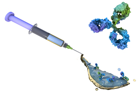 molecules injected from new syringe