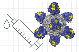 flu vaccine molecule concept