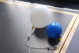experimental setup with balloons connected by tubing