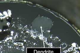 branch-like dendrite 