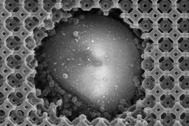 image showing nanometer-scale carbon struts