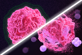Illustration with two panels: Upper image shows a globular shape representing a tumor cell; in the lower image, that shape is broken apart and surrounded by spheres representing T cells