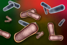 microbes in coating graphic