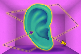 ear graphic